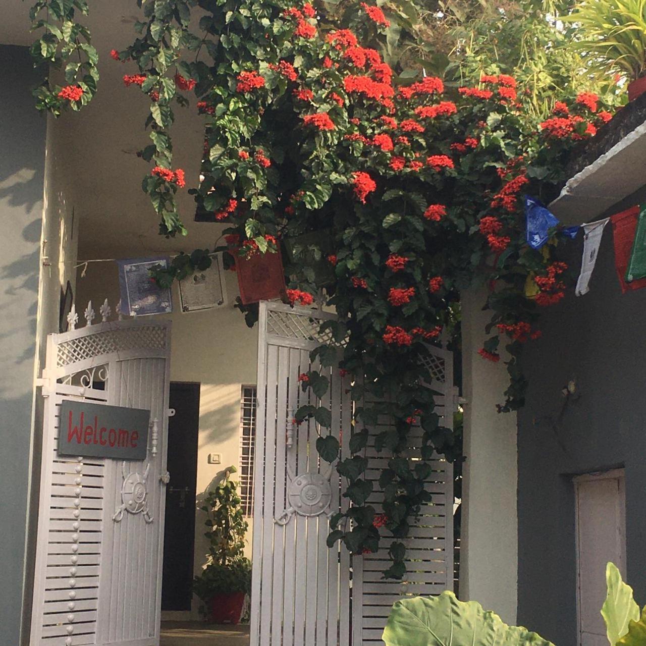 The Highvill Home Stay Khajurāho Extérieur photo