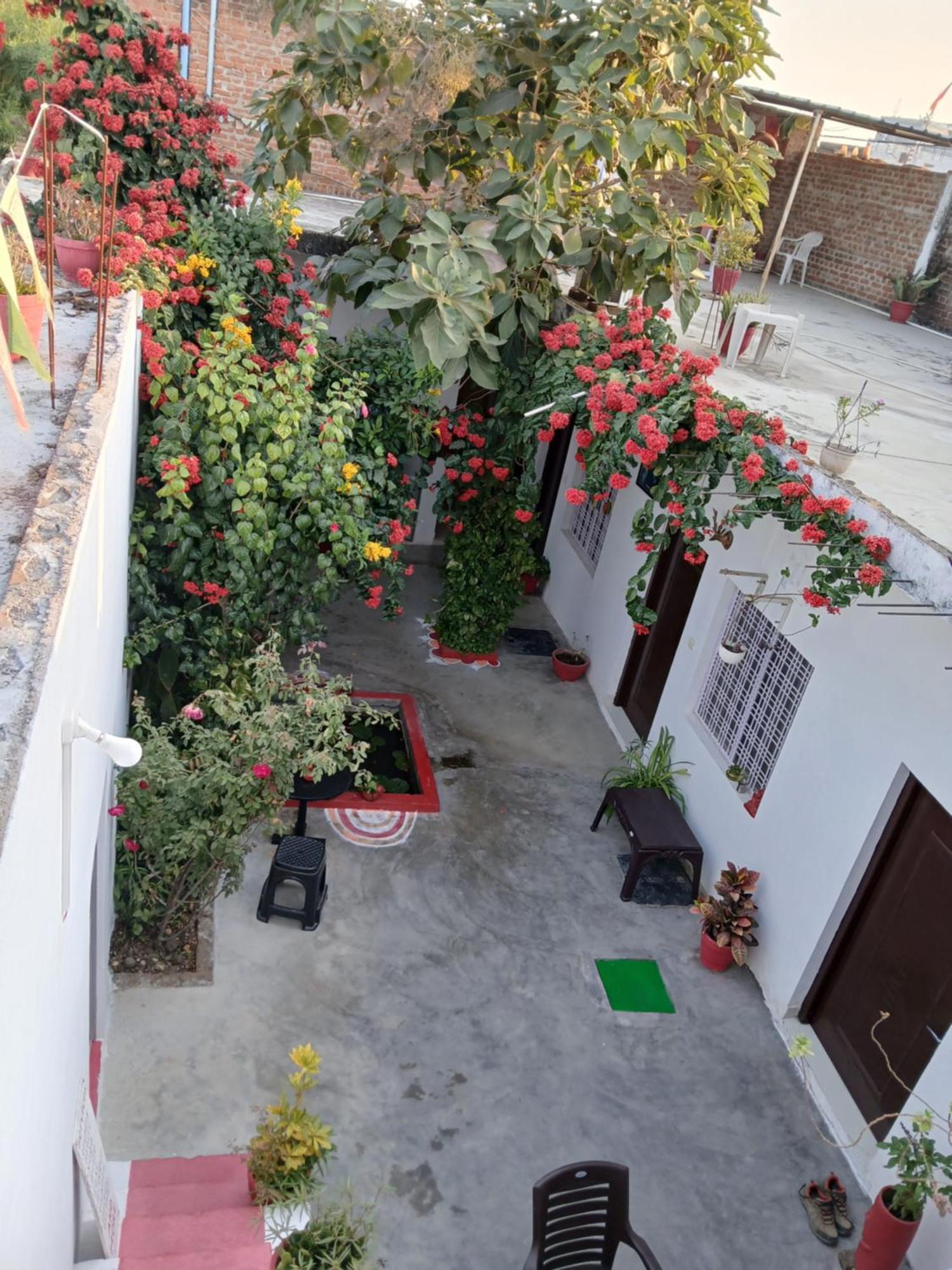 The Highvill Home Stay Khajurāho Extérieur photo